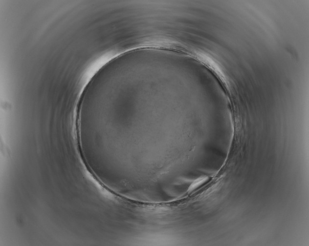 X0000090931103200708061558