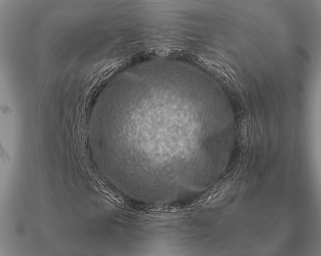 X0000090931105200708061558