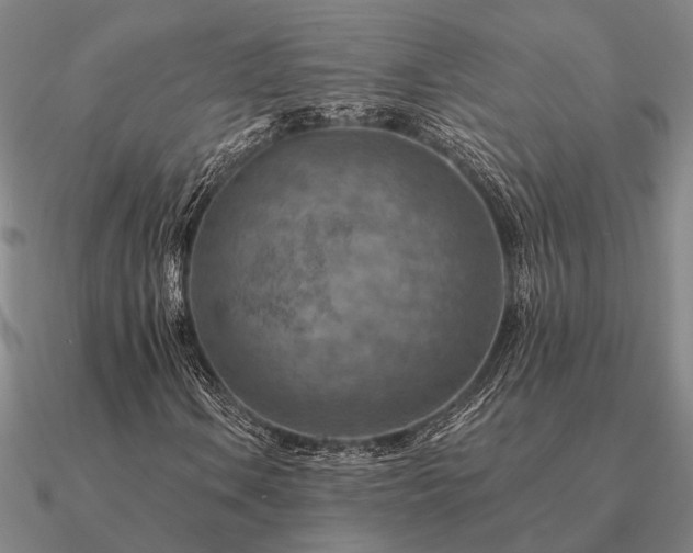 X0000090931106200708061558