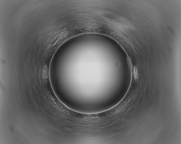 X0000090931107200708061558