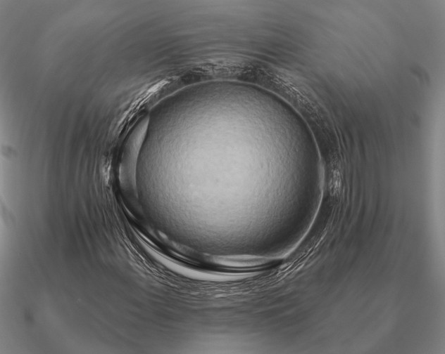 X0000090931108200708061558