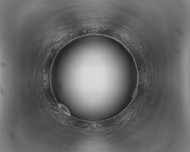 X0000090931109200708061558