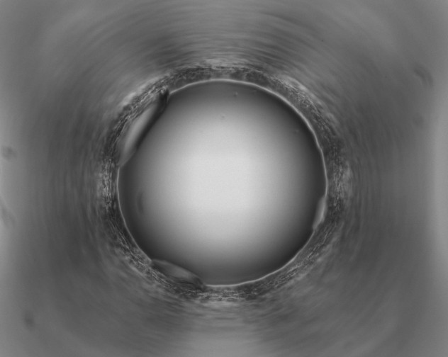 X0000090931110200708061558