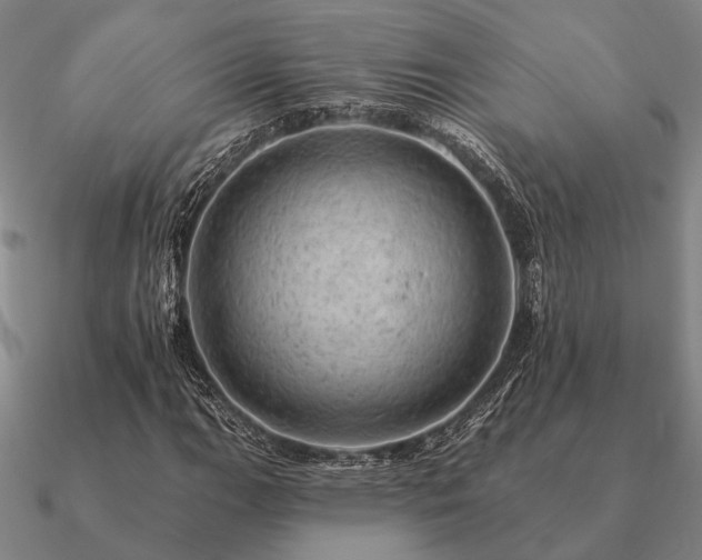X0000090931111200708061558