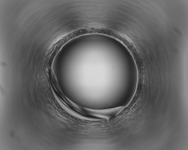 X0000090931112200708061558