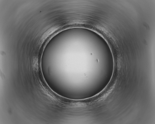 X0000090931113200708061558