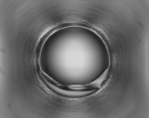 X0000090931114200708061558
