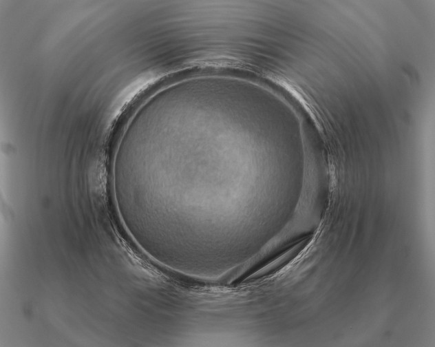 X0000090931115200708061558