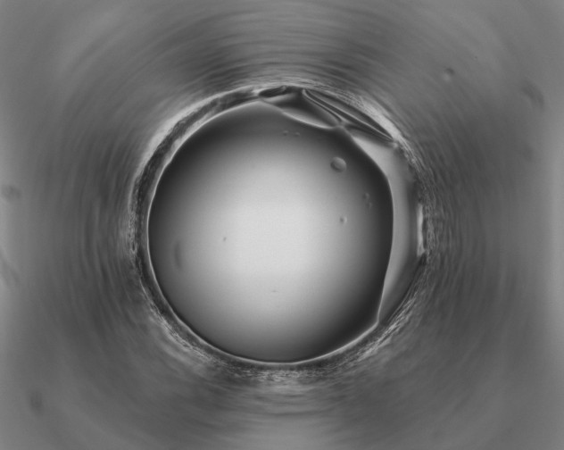 X0000090931116200708061558