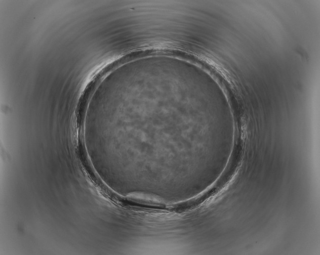 X0000090931117200708061558