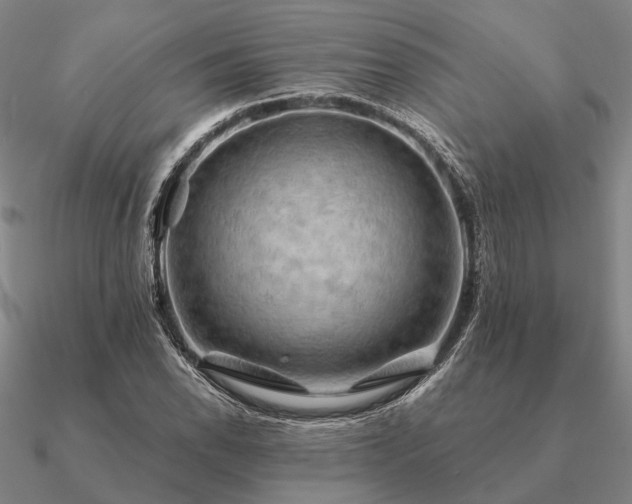 X0000090931118200708061558