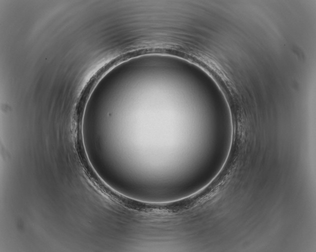 X0000090931119200708061558