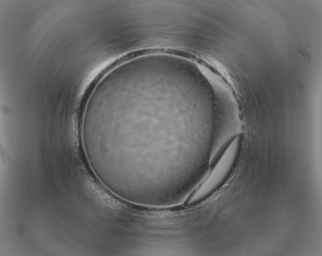 X0000090931120200708061558