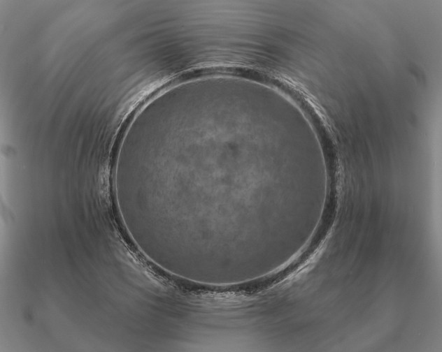 X0000090931121200708061558