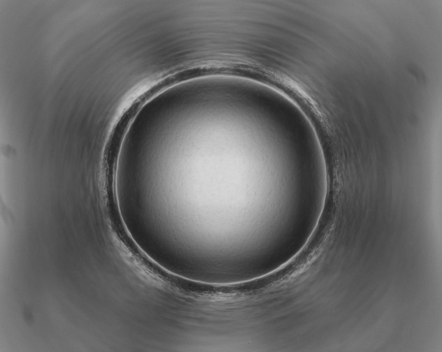 X0000090931122200708061558