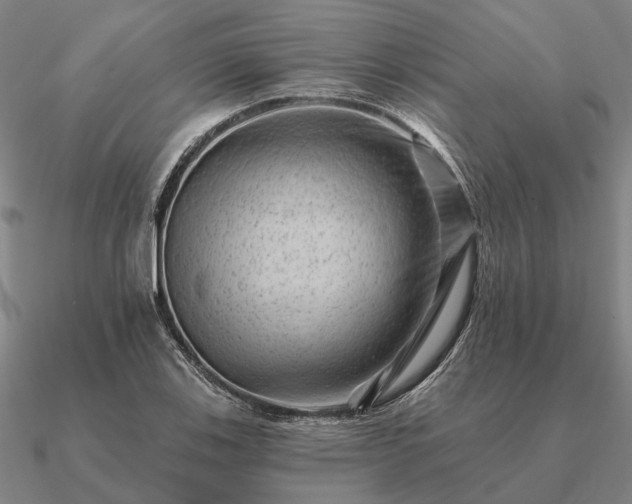 X0000090931123200708061558