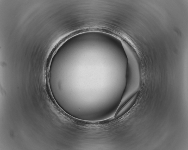 X0000090931124200708061558