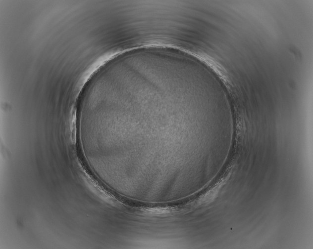 X0000090931126200708061558