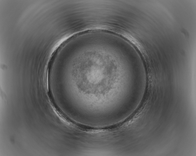 X0000090931127200708061558