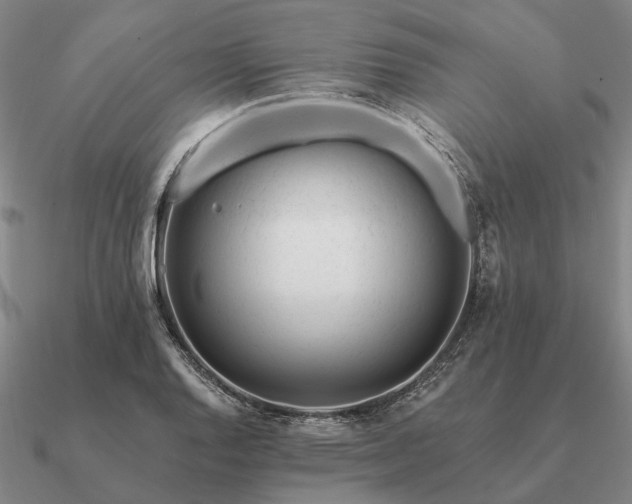 X0000090931128200708061558
