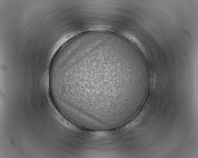 X0000090931130200708061558