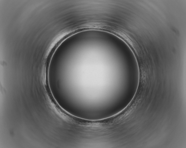 X0000090931131200708061558