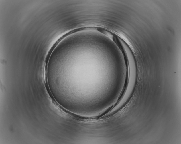 X0000090931132200708061558