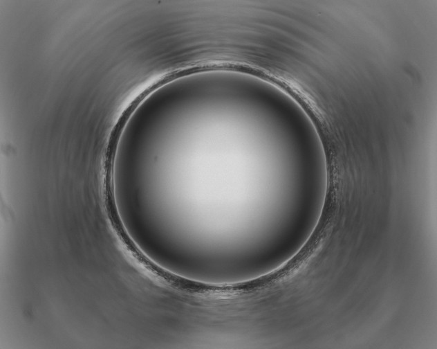 X0000090931134200708061558