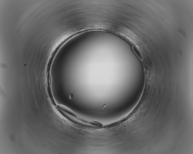 X0000090931135200708061558