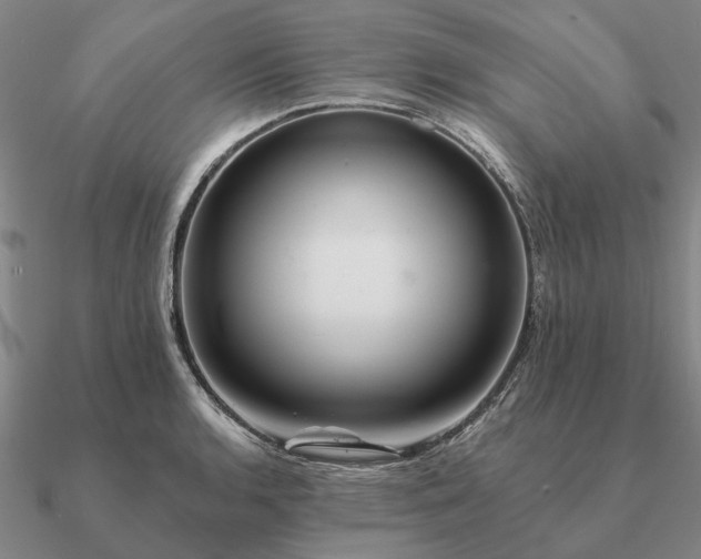 X0000090931136200708061558