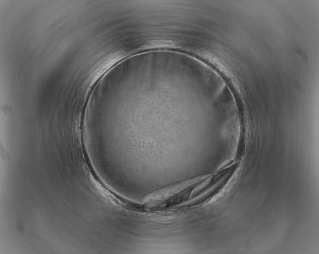 X0000090931137200708061558