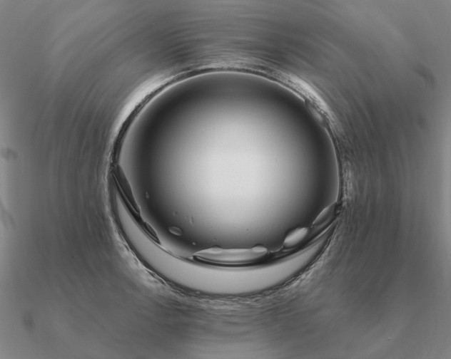 X0000090931138200708061558