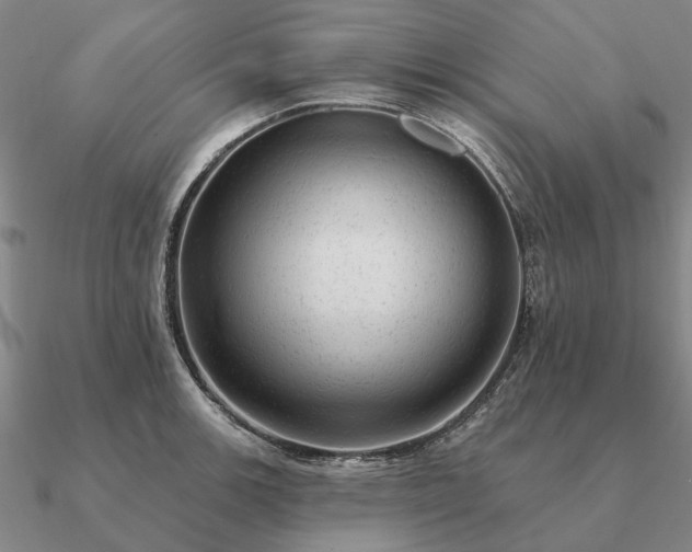 X0000090931139200708061558