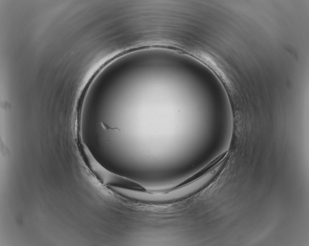 X0000090931140200708061558