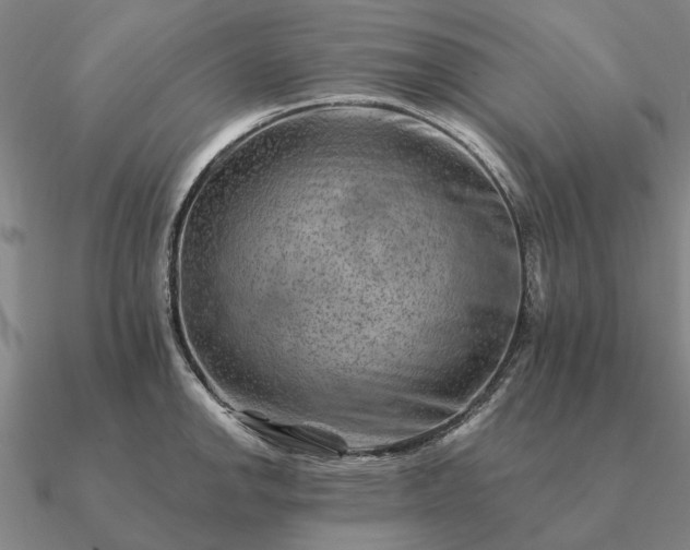 X0000090931142200708061558