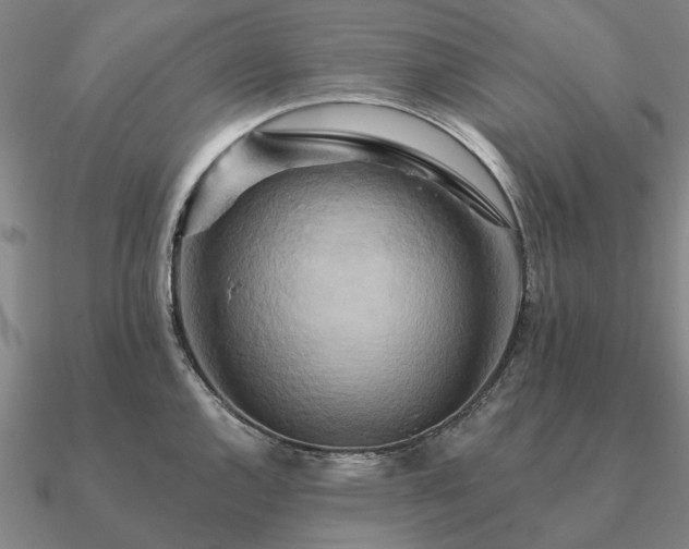 X0000090931144200708061558