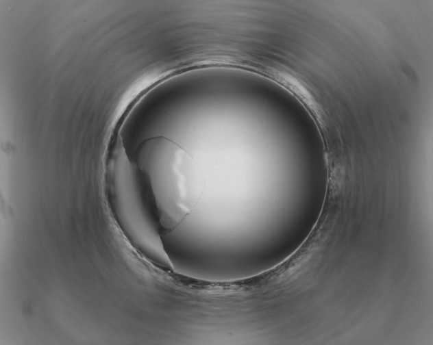 X0000090931146200708061558