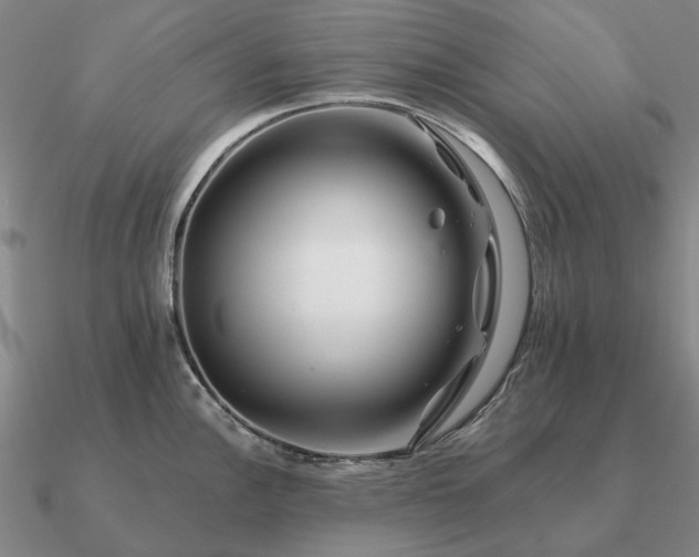 X0000090931148200708061558