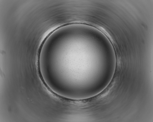 X0000090931149200708061558