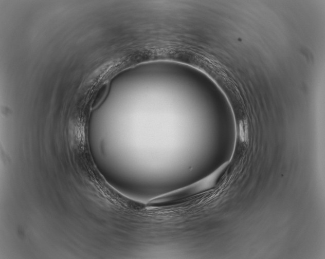 X0000090931155200708061558