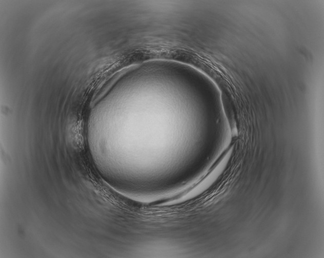 X0000090931156200708061557