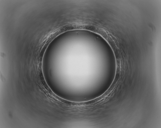 X0000090931157200708061557