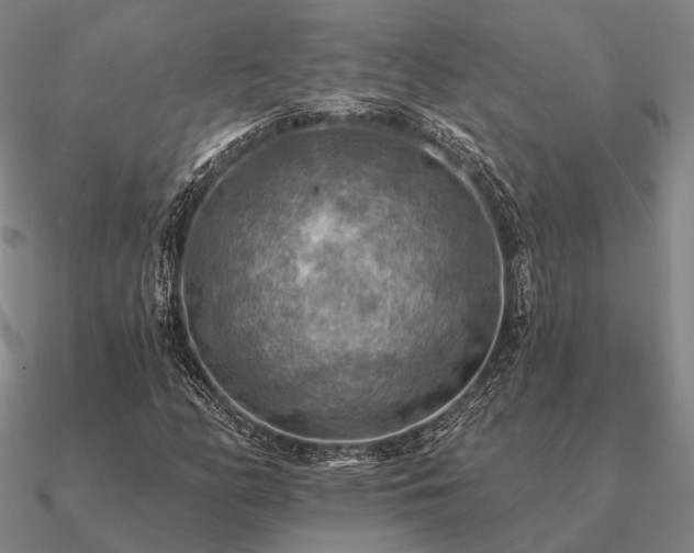 X0000090931158200708061557