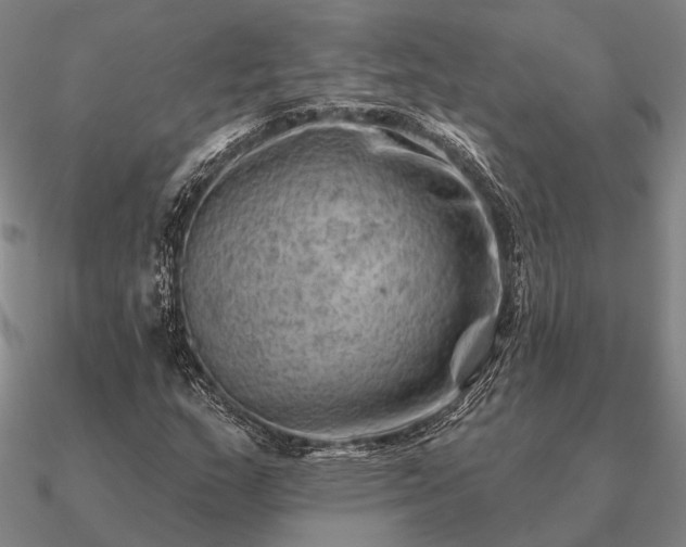 X0000090931159200708061557