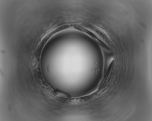 X0000090931160200708061557