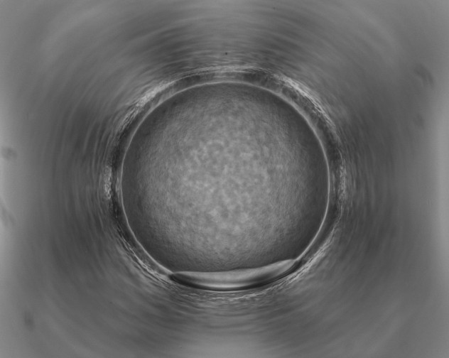 X0000090931161200708061557