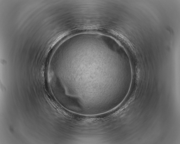 X0000090931162200708061557