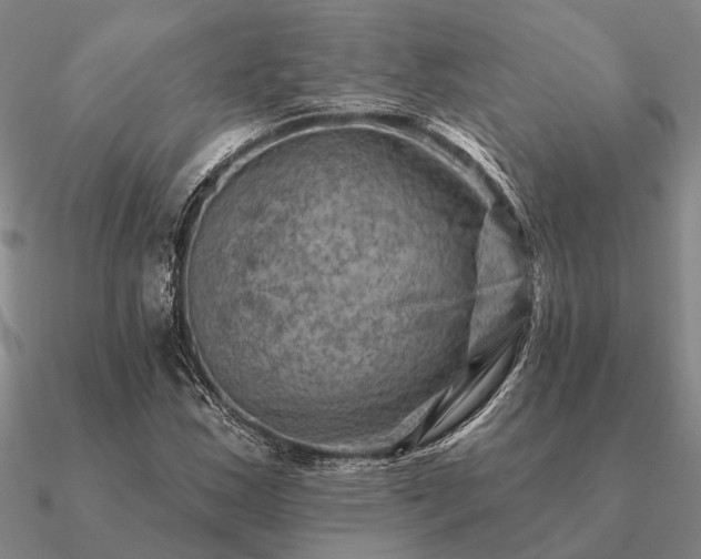 X0000090931163200708061557