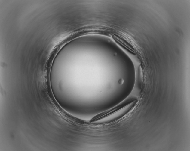 X0000090931164200708061557