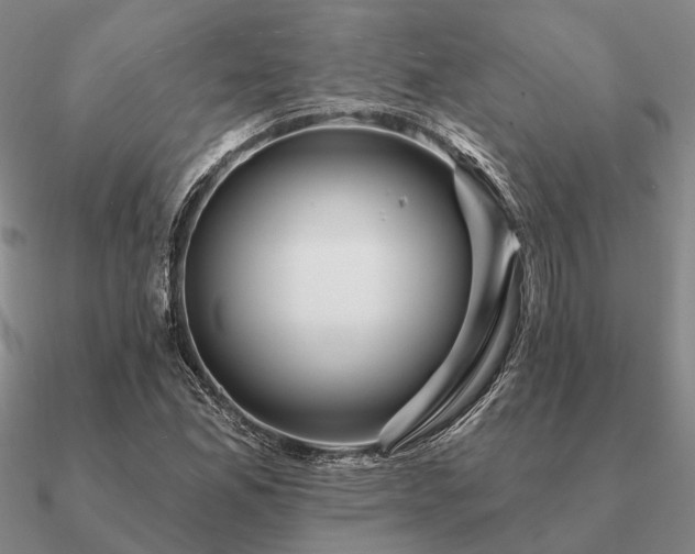 X0000090931165200708061557